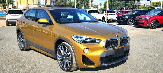 X2 M-Sport 2.0L (Panoramic Roof)
