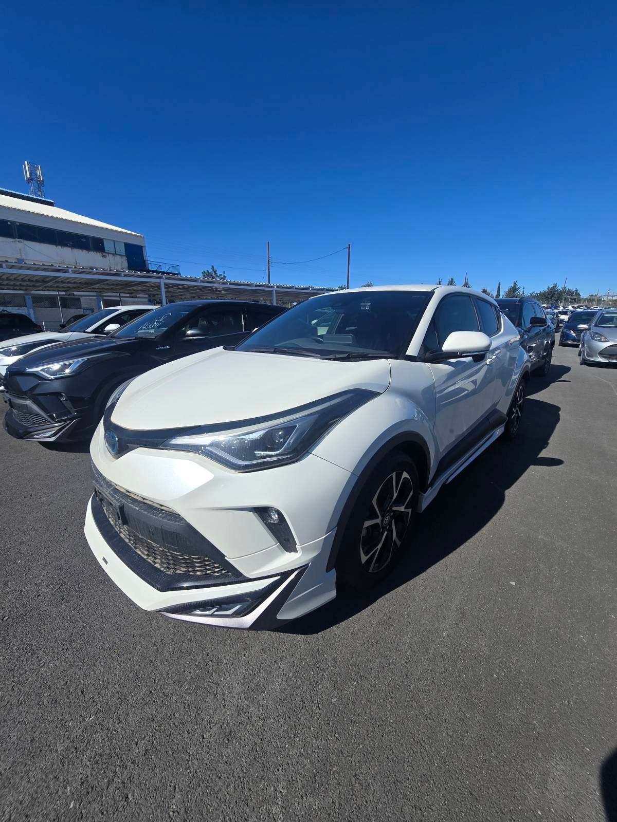 C-HR HYBRID 2022 MODELLISTA