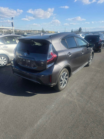 AQUA CROSS HYBRID 2021