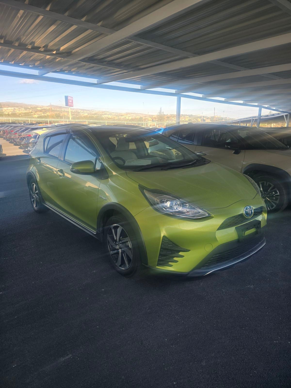 AQUA CROSS HYBRID 2021