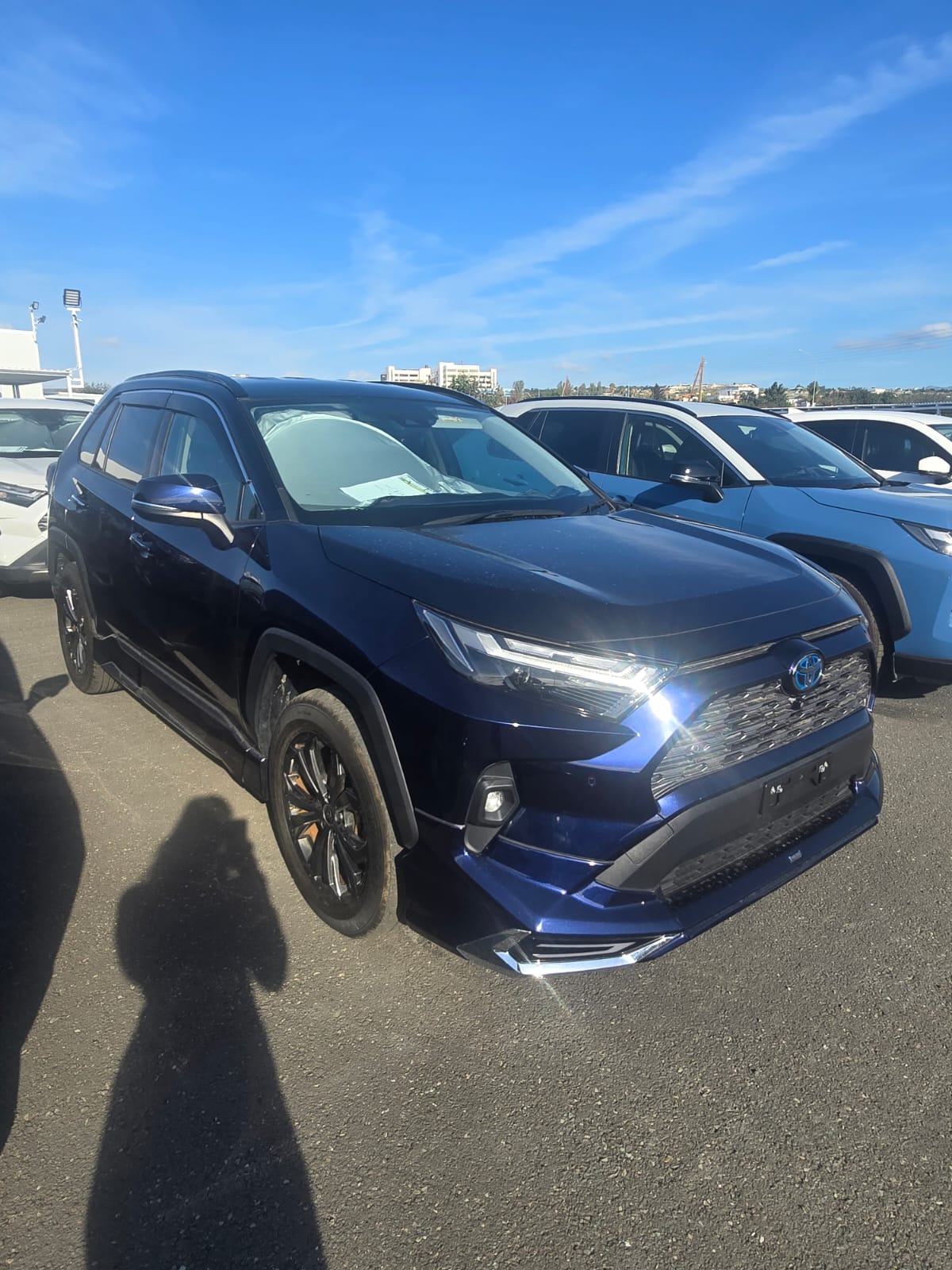 RAV 4 HYBRID MODELLISTA 2024