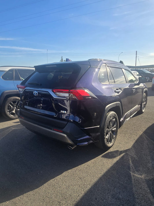 RAV 4 HYBRID MODELLISTA 2024