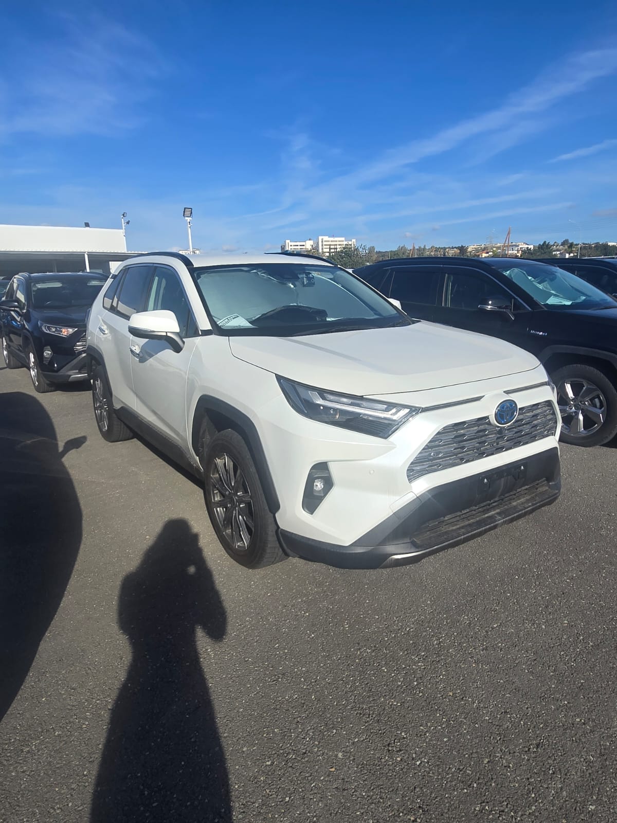 RAV 4 HYBRID 2024