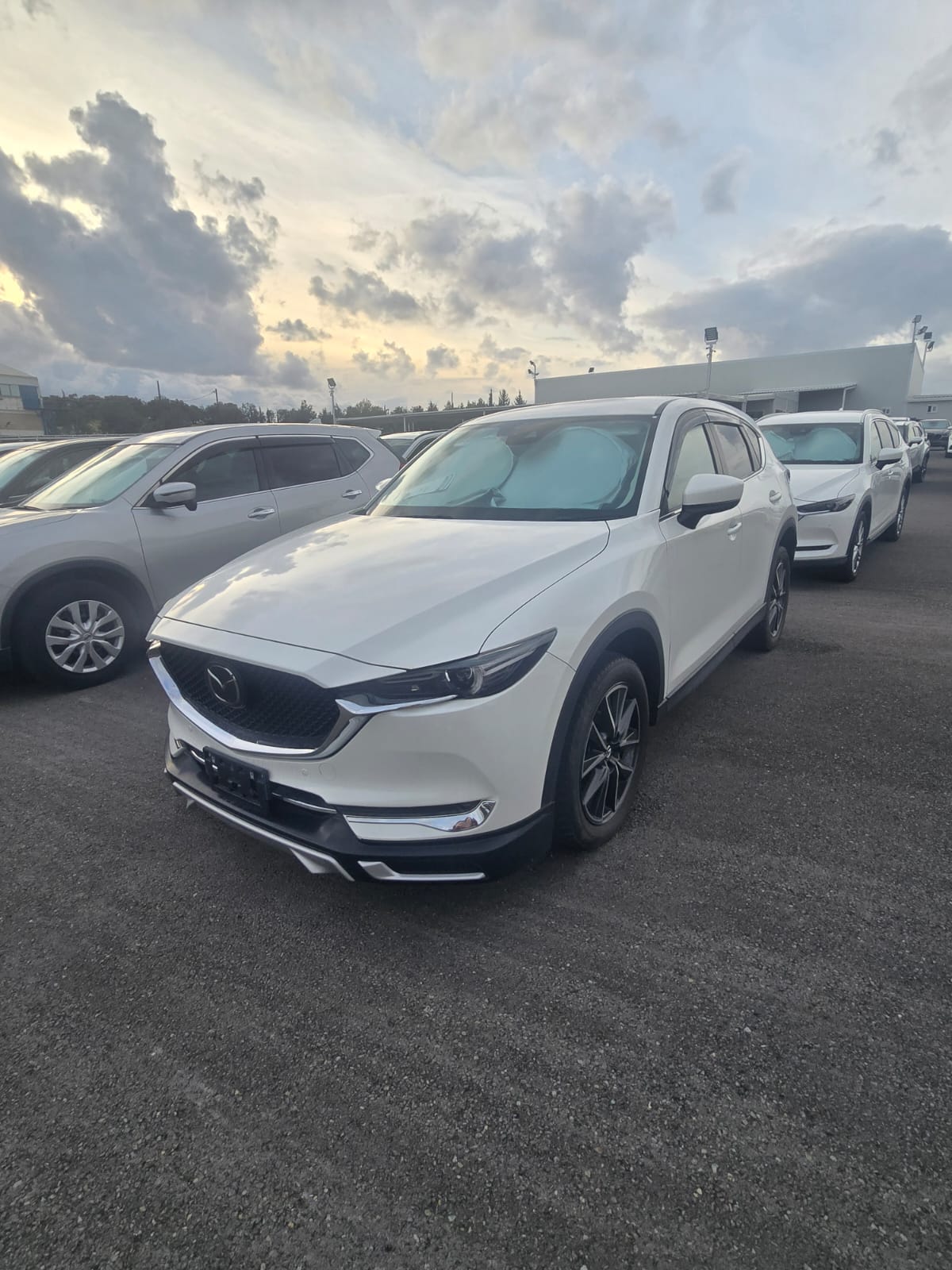 Cx-5 2020