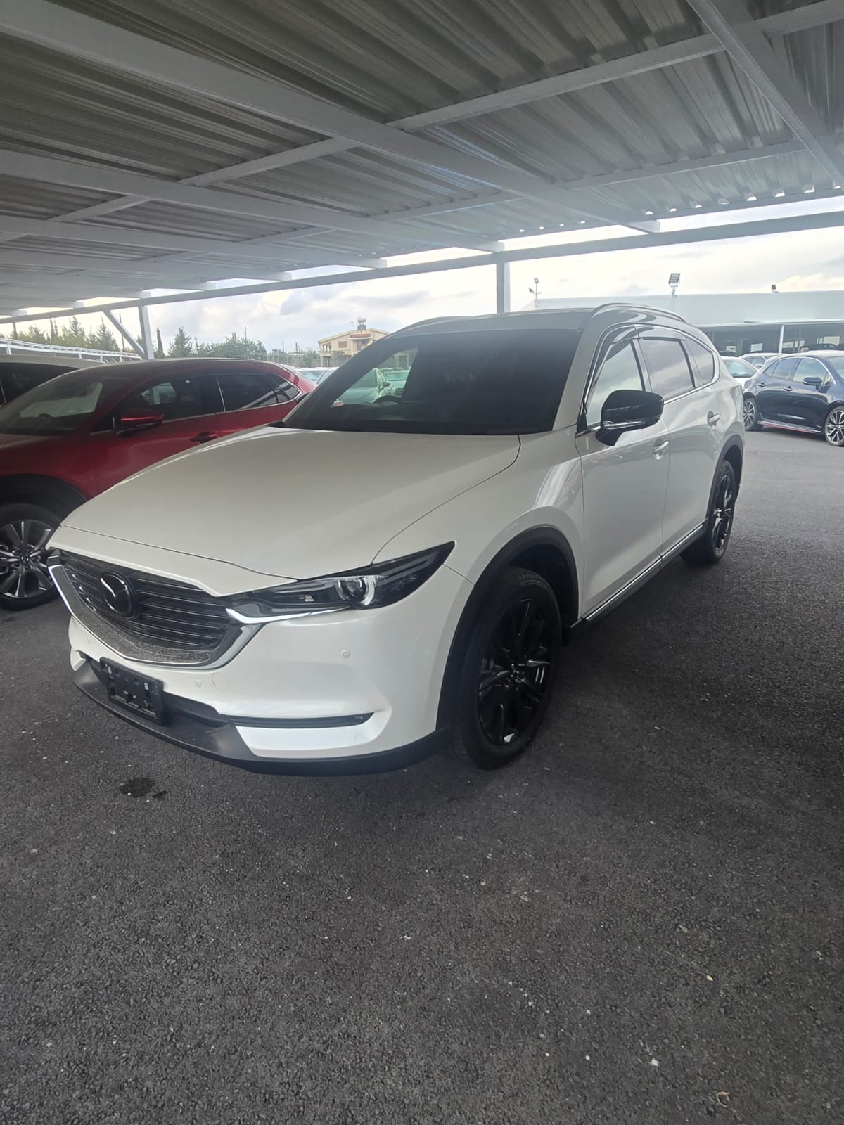 Cx-8 BLACK TONE ΗΛΙΟΡΟΦΗ 7 ΘΕΣΕΙΣ 2022